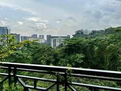Meralodge (D23), Condominium #561747411